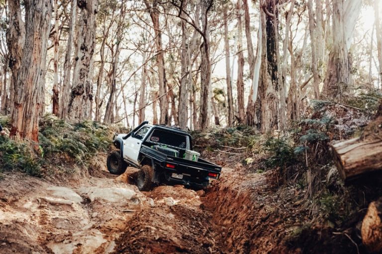Rear-three-quarter view of a Patrol tray ute negotiating a rocky descent through eucalypt forest near Daylesford.
