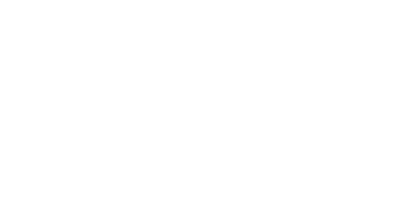 Safari 4x4 brand logo — snorkel supplier MBC 4X4 Solutions fits in Central Victoria touring builds.